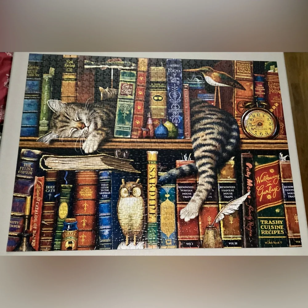 1000 Piece Frederick the Literate Jigsaw Puzzle by Charles Wysocki+Buffalo Games